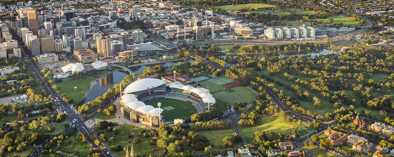 Bobs Bee Removal in Adelaide